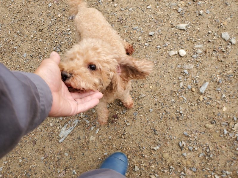 f:id:roukenhome-ann:20191008192223j:plain