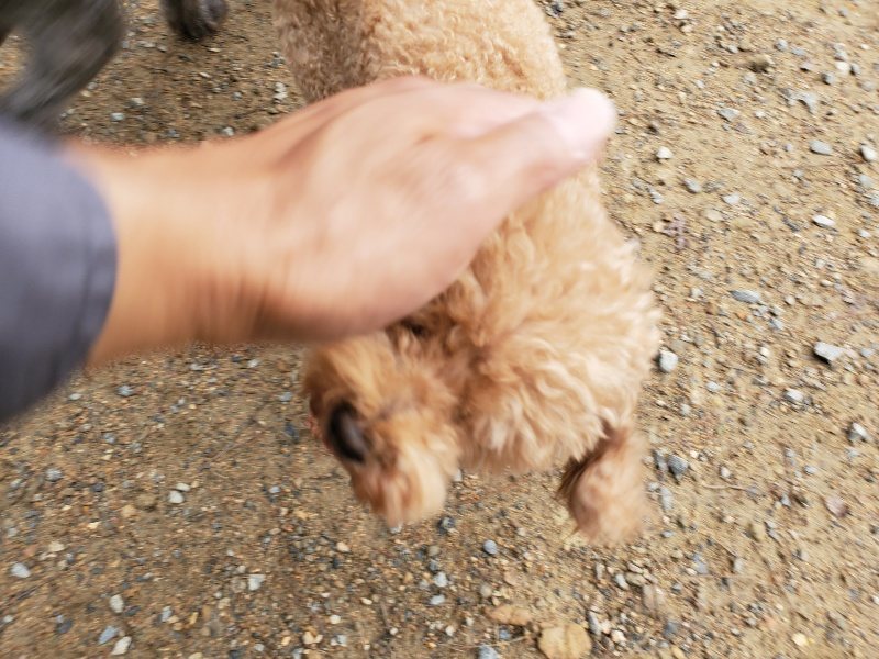 f:id:roukenhome-ann:20191008192232j:plain