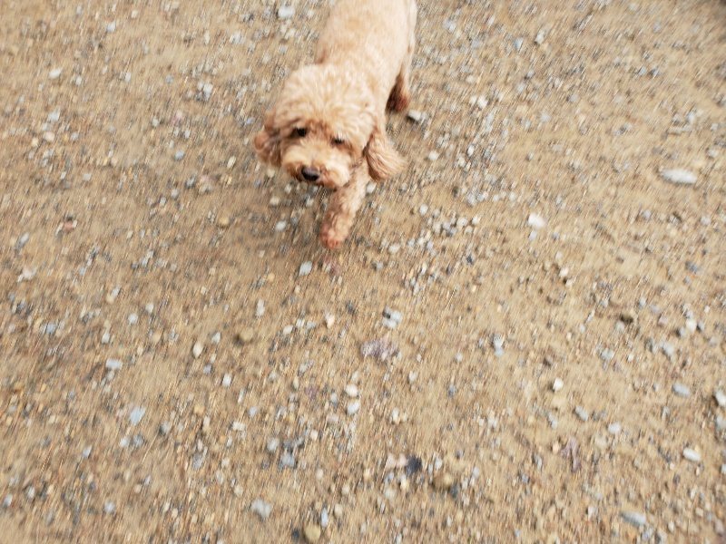 f:id:roukenhome-ann:20191008192248j:plain