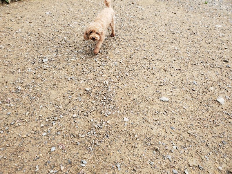 f:id:roukenhome-ann:20191008192258j:plain