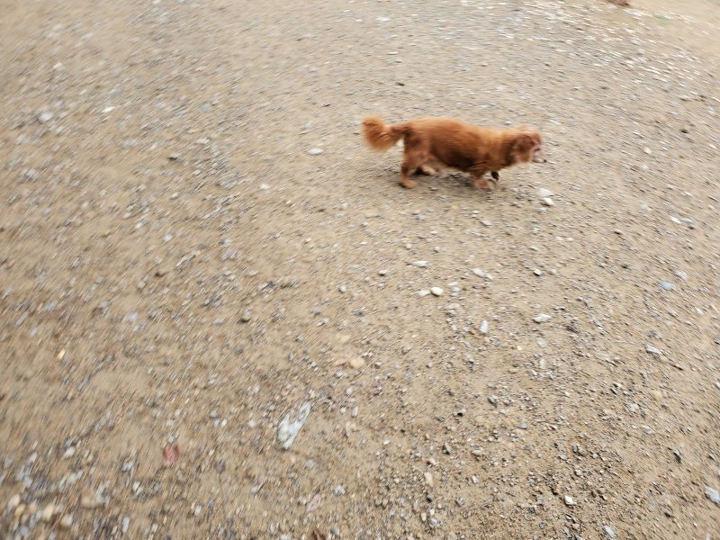 f:id:roukenhome-ann:20191008192310j:plain