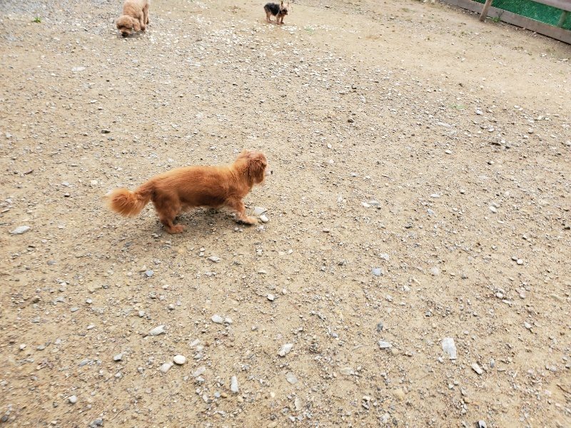 f:id:roukenhome-ann:20191008192317j:plain