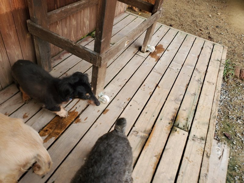f:id:roukenhome-ann:20191008192334j:plain