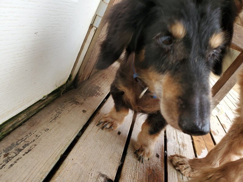f:id:roukenhome-ann:20191008192439j:plain