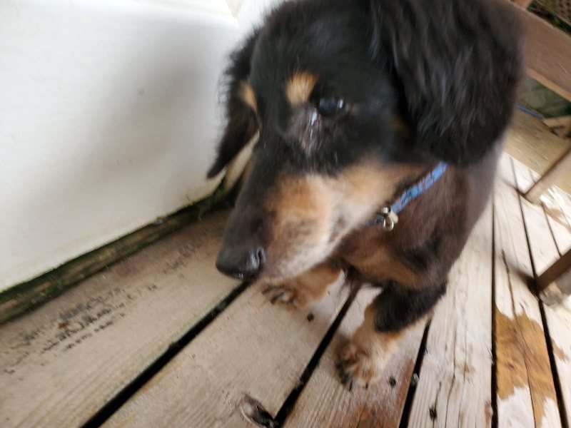 f:id:roukenhome-ann:20191008192502j:plain