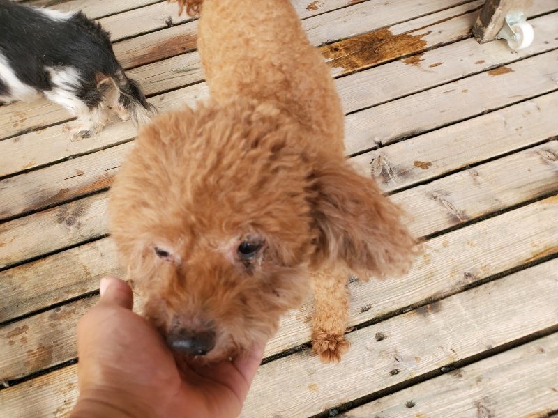 f:id:roukenhome-ann:20191008192540j:plain