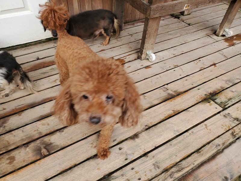 f:id:roukenhome-ann:20191008192629j:plain