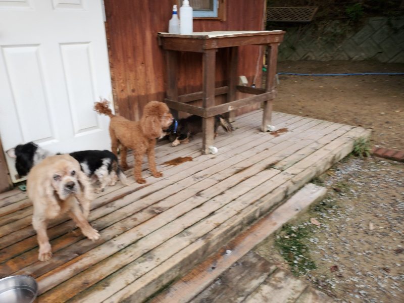 f:id:roukenhome-ann:20191008192703j:plain