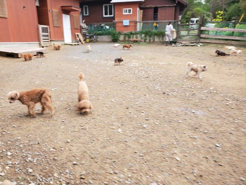 f:id:roukenhome-ann:20191008192827j:plain