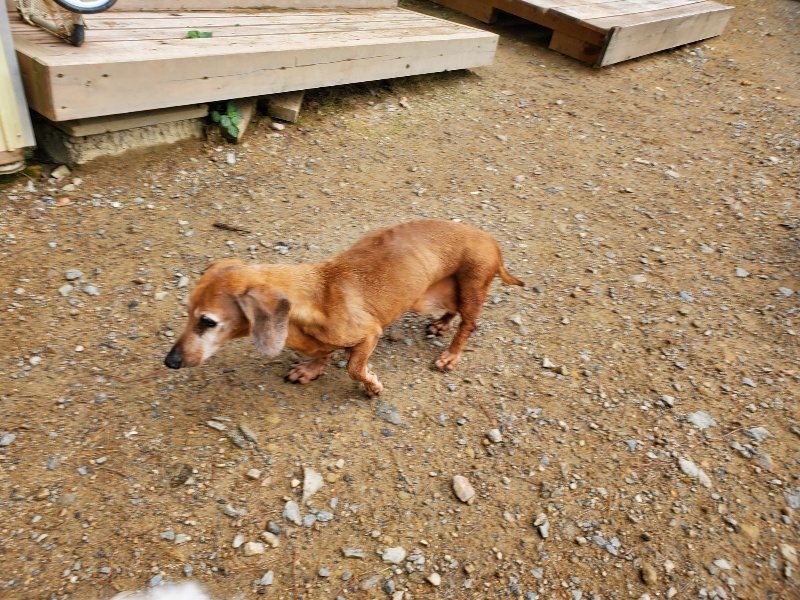 f:id:roukenhome-ann:20191008193148j:plain