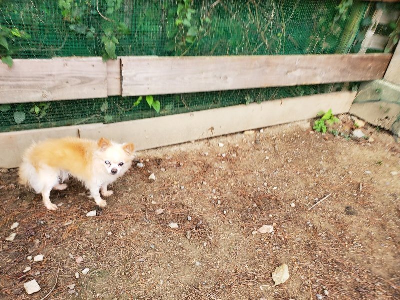 f:id:roukenhome-ann:20191008193249j:plain