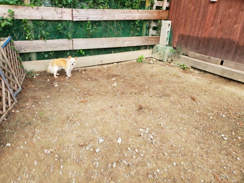 f:id:roukenhome-ann:20191008193257j:plain