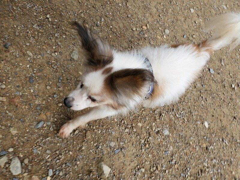 f:id:roukenhome-ann:20191008193320j:plain