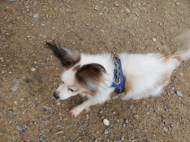 f:id:roukenhome-ann:20191008193340j:plain
