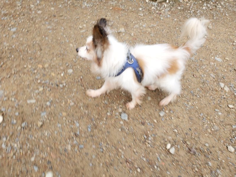 f:id:roukenhome-ann:20191008193354j:plain