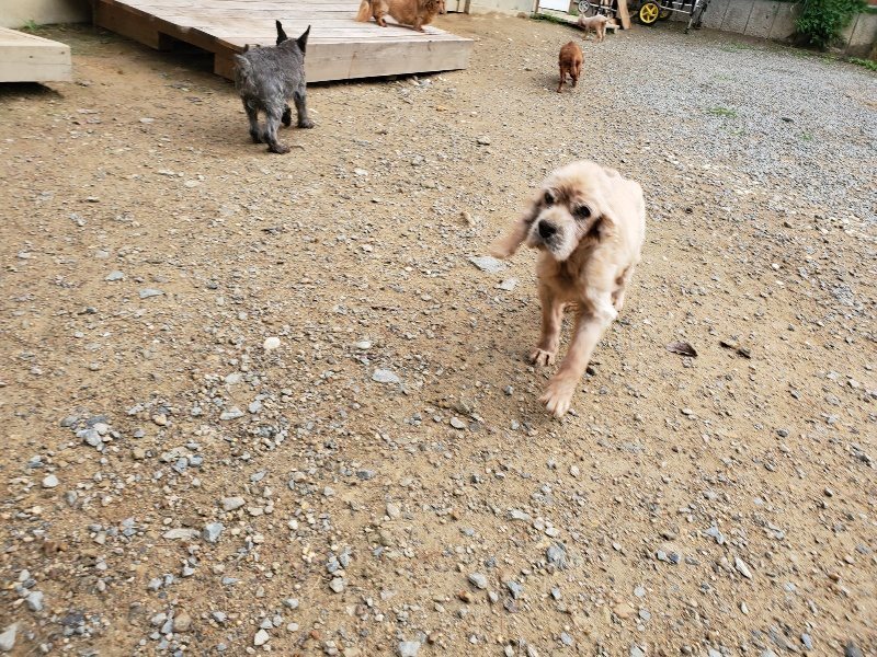 f:id:roukenhome-ann:20191008193405j:plain