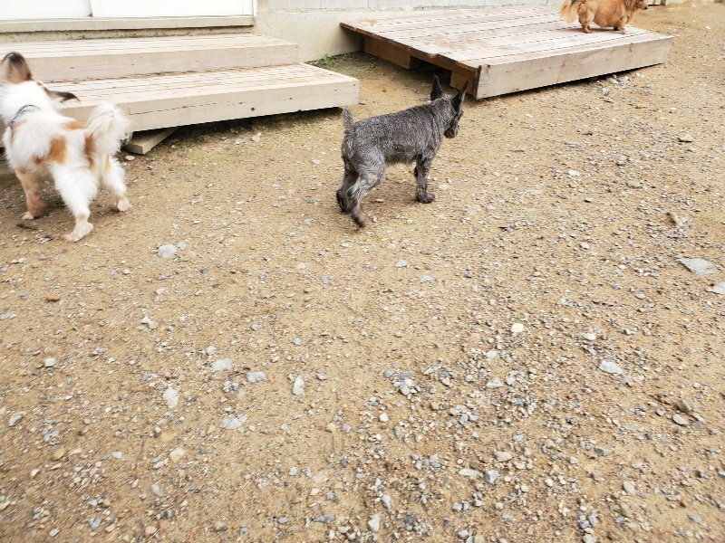 f:id:roukenhome-ann:20191008193419j:plain