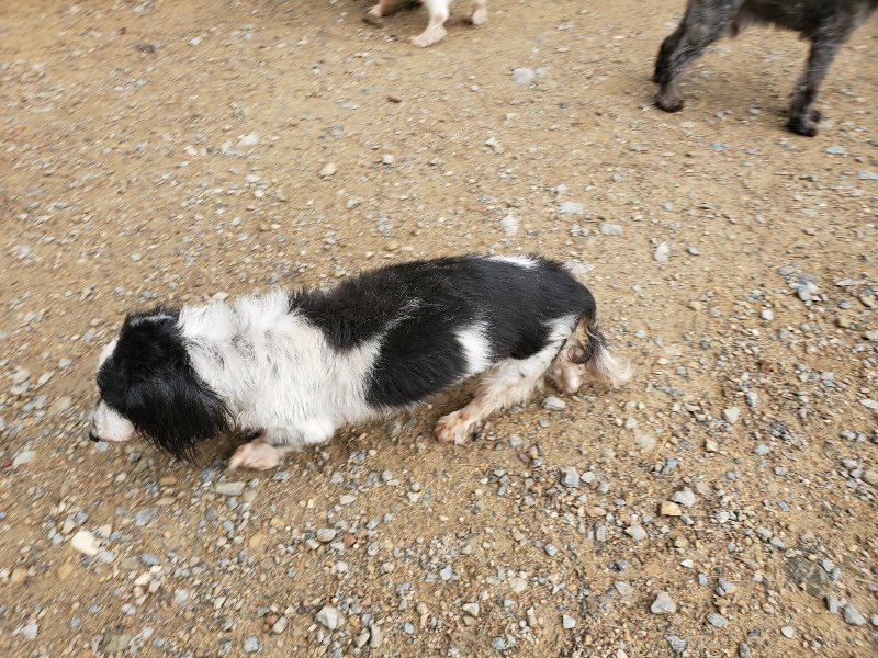 f:id:roukenhome-ann:20191008193441j:plain