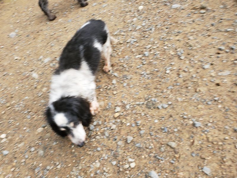 f:id:roukenhome-ann:20191008193451j:plain