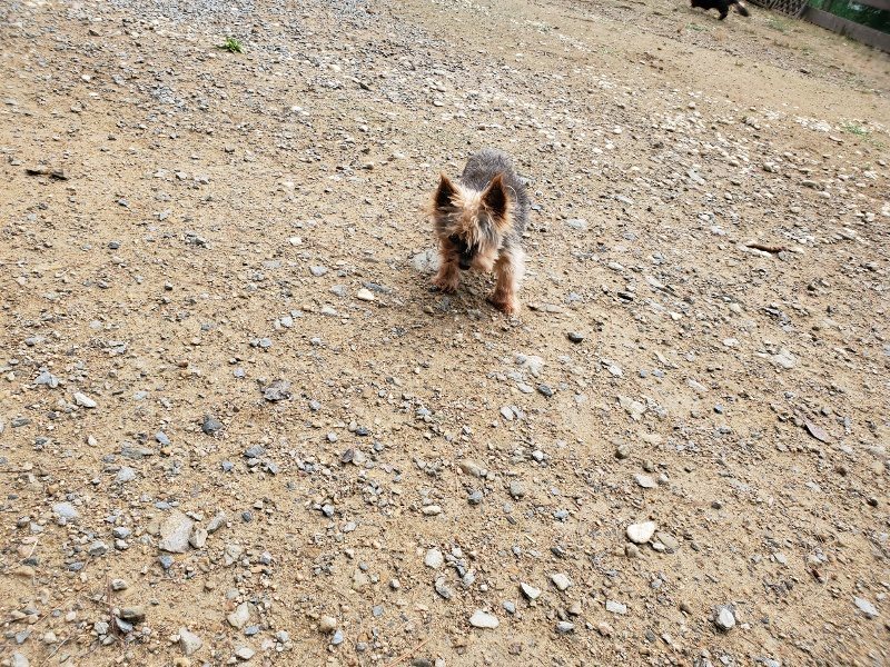 f:id:roukenhome-ann:20191008193511j:plain