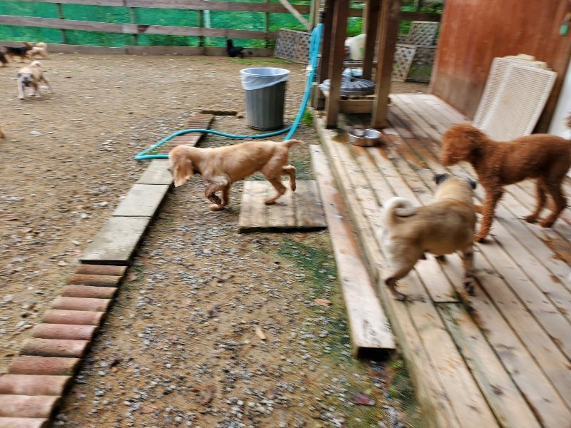 f:id:roukenhome-ann:20191008193634j:plain