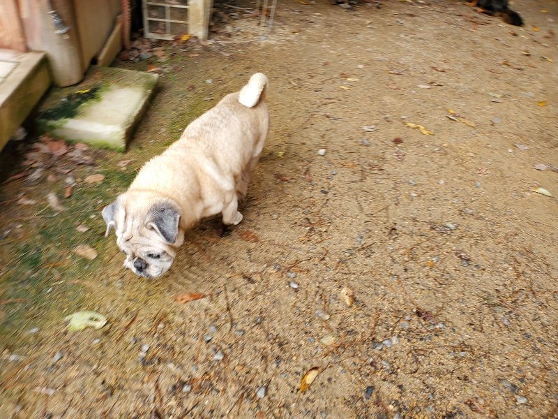 f:id:roukenhome-ann:20191008193653j:plain