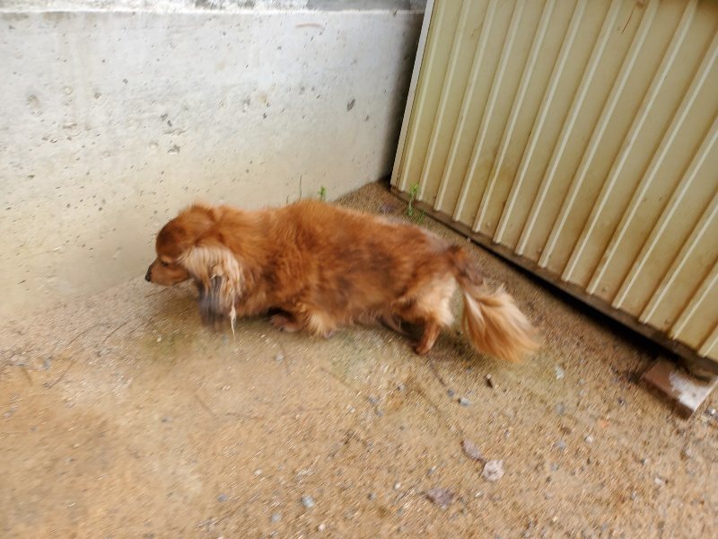 f:id:roukenhome-ann:20191008193720j:plain