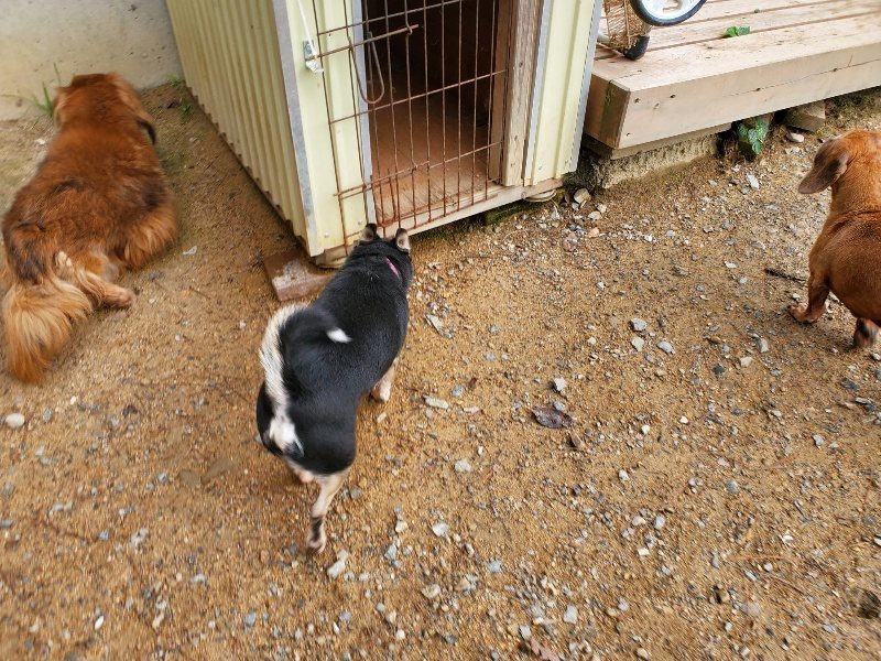 f:id:roukenhome-ann:20191008193750j:plain