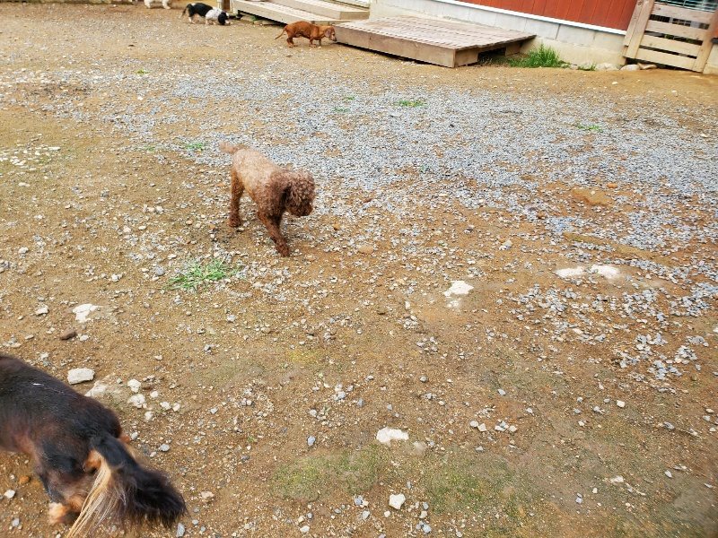 f:id:roukenhome-ann:20191008194750j:plain