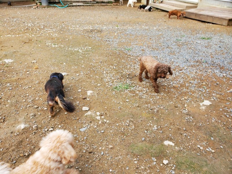 f:id:roukenhome-ann:20191008194800j:plain
