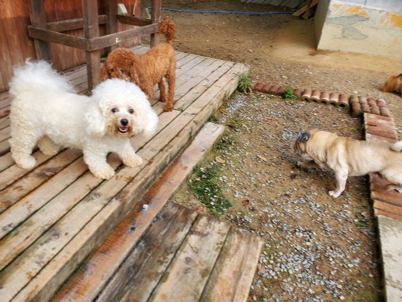 f:id:roukenhome-ann:20191008194941j:plain