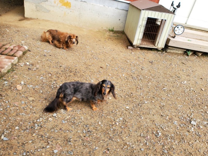 f:id:roukenhome-ann:20191008195001j:plain