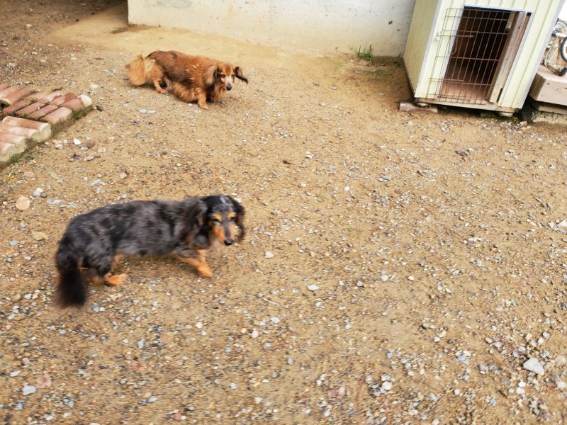 f:id:roukenhome-ann:20191008195009j:plain