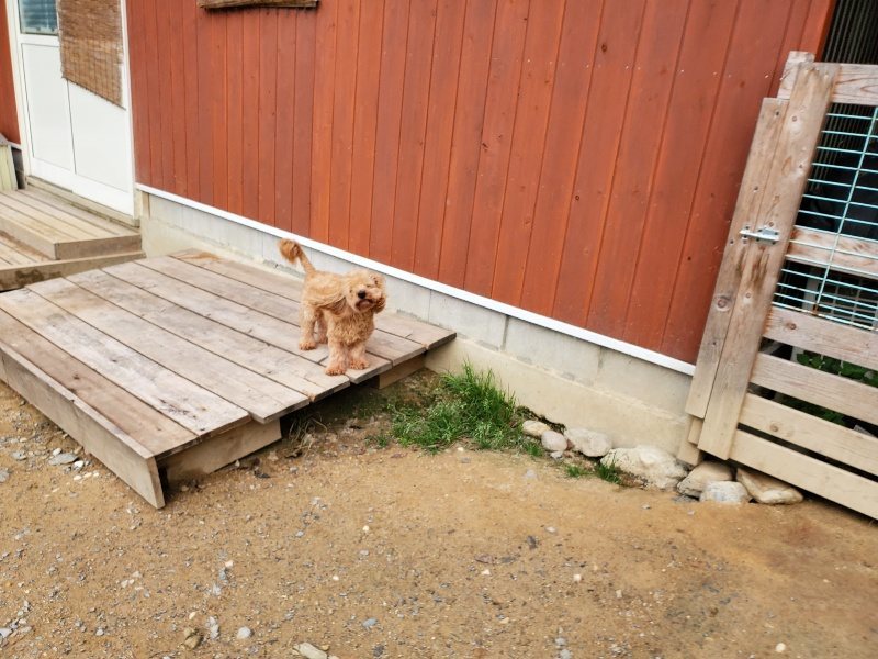 f:id:roukenhome-ann:20191008195130j:plain