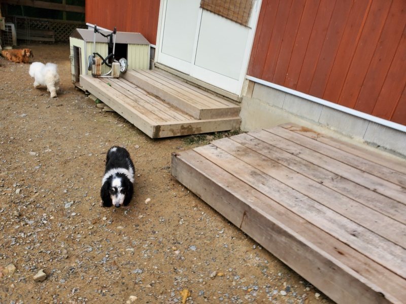 f:id:roukenhome-ann:20191008195138j:plain