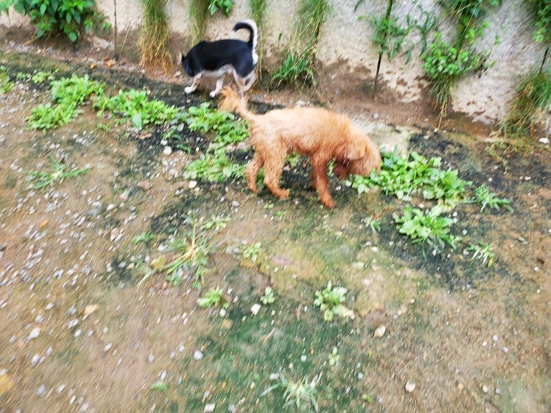 f:id:roukenhome-ann:20191008195218j:plain
