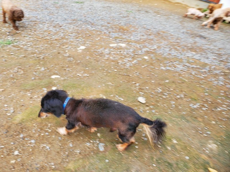 f:id:roukenhome-ann:20191008195307j:plain