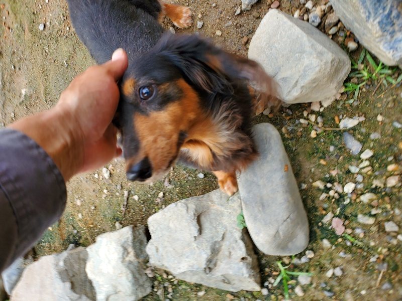 f:id:roukenhome-ann:20191008195322j:plain