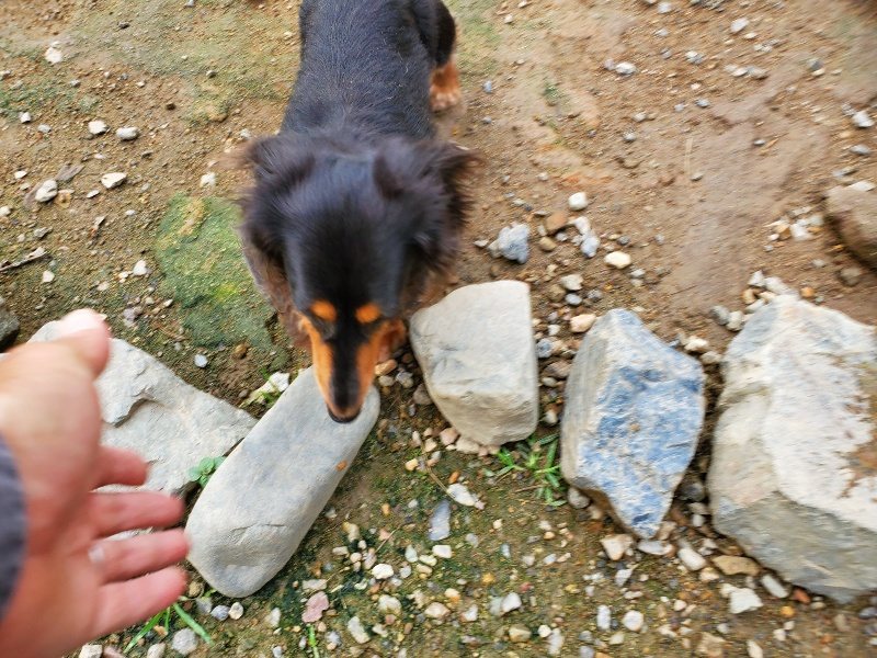 f:id:roukenhome-ann:20191008195335j:plain