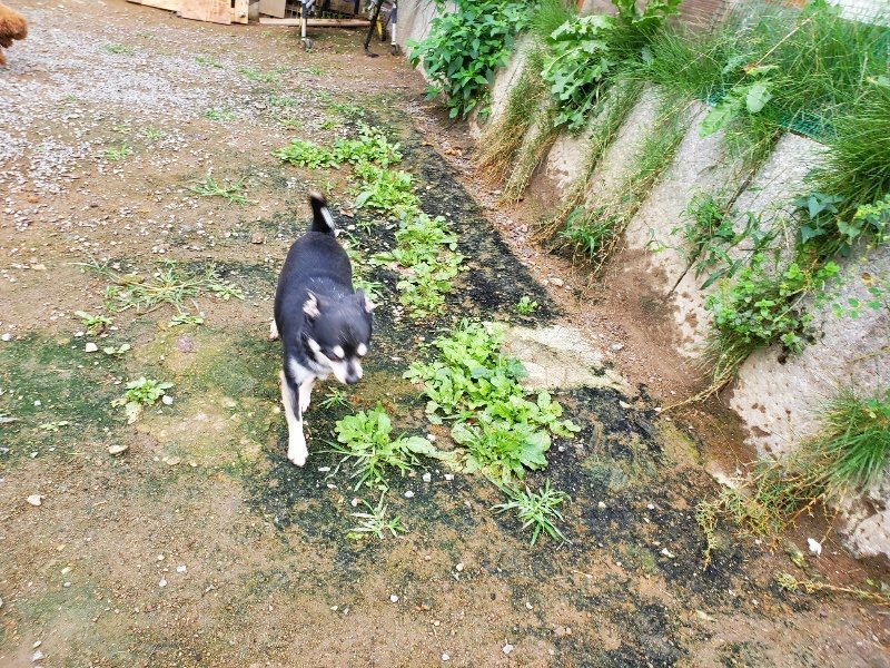 f:id:roukenhome-ann:20191008195407j:plain