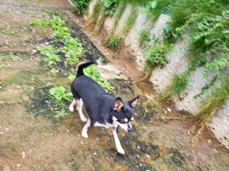 f:id:roukenhome-ann:20191008195422j:plain