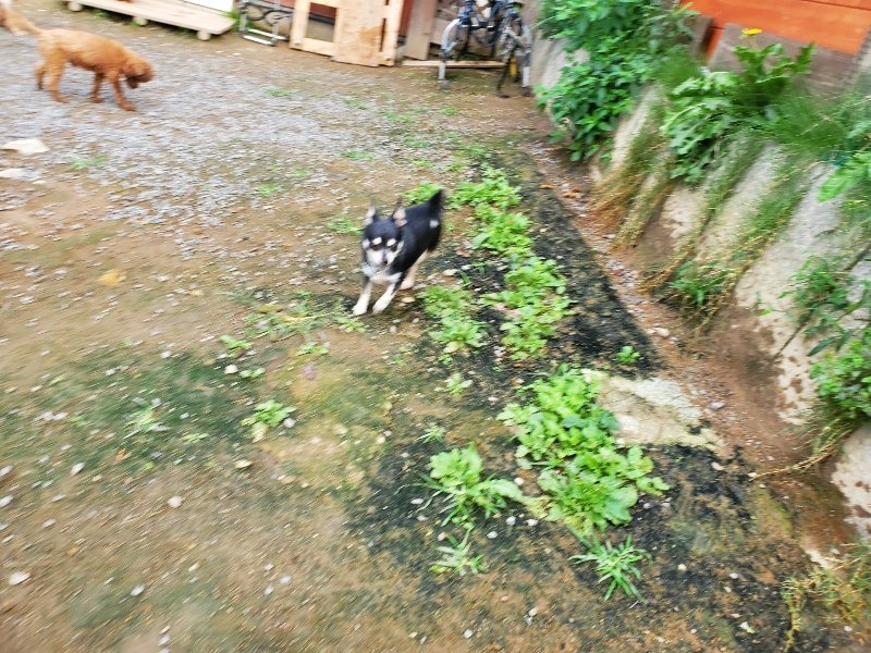 f:id:roukenhome-ann:20191008195430j:plain