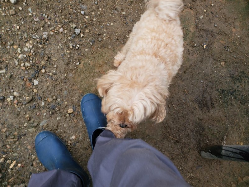 f:id:roukenhome-ann:20191008195453j:plain