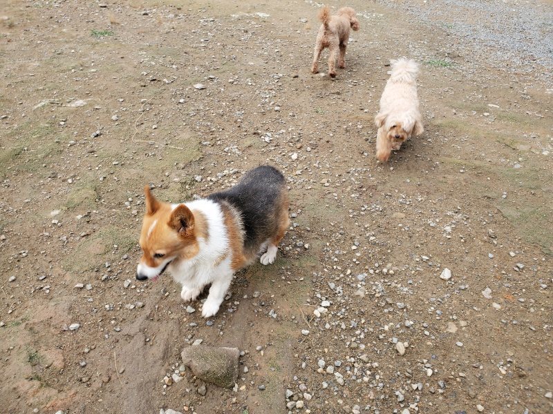 f:id:roukenhome-ann:20191008195507j:plain