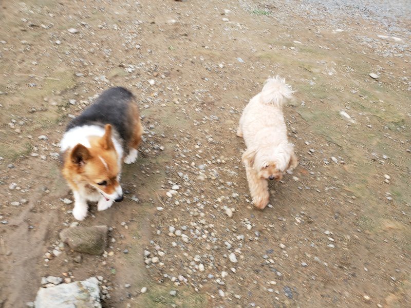 f:id:roukenhome-ann:20191008195516j:plain