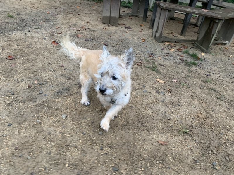 f:id:roukenhome-ann:20191008195543j:plain