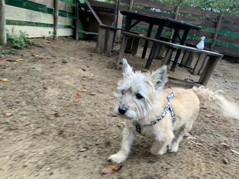 f:id:roukenhome-ann:20191008195550j:plain