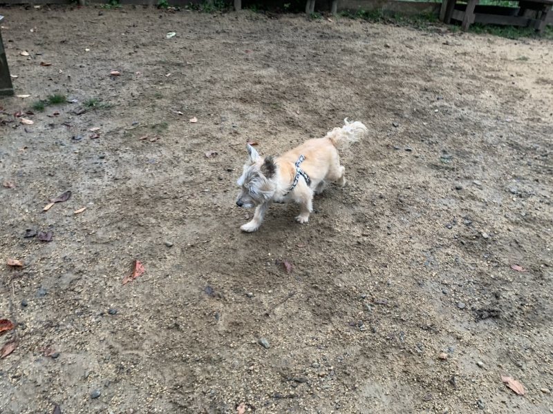 f:id:roukenhome-ann:20191008195600j:plain