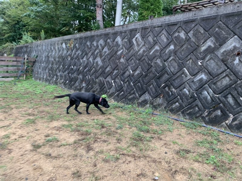 f:id:roukenhome-ann:20191008195606j:plain