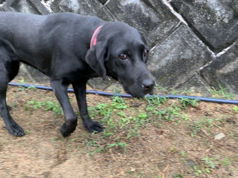f:id:roukenhome-ann:20191008195612j:plain